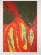 Feuer